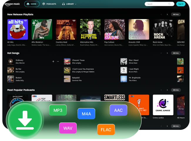 Multiple Audio Formats