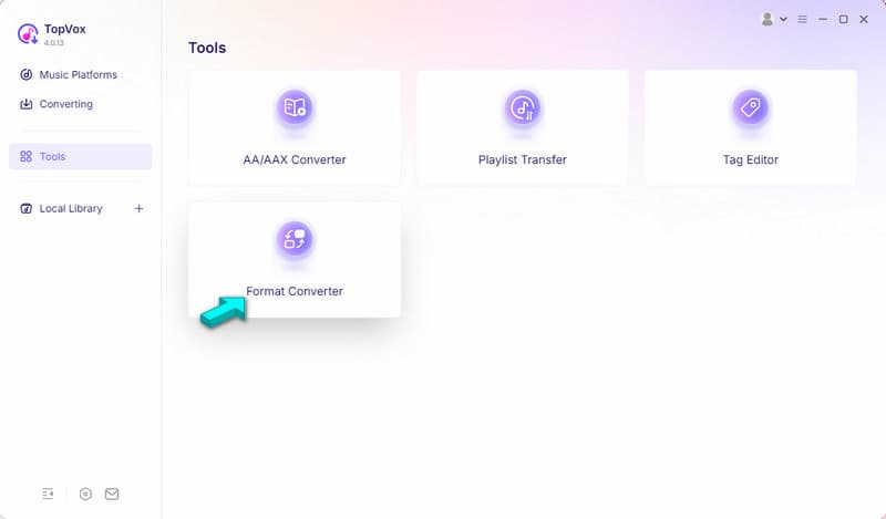 Access Format Converter In Topvox