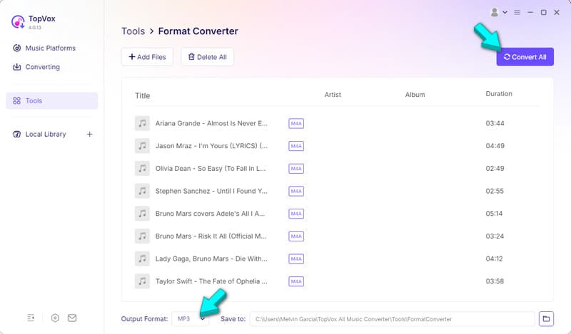 Set Mp3 As Output And Convert In Topvox