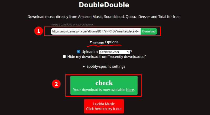 Double Download Amazon Music