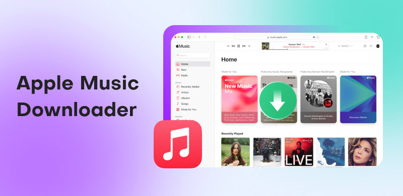 Apple Music Downloader