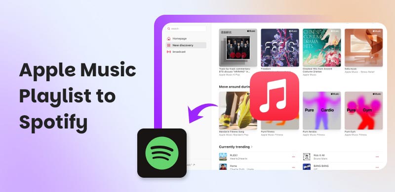 Apple Music Playlist To Spotify