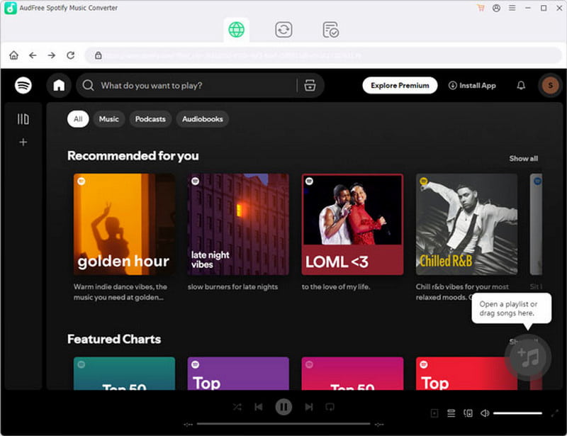 What Is Audfree Music Converter