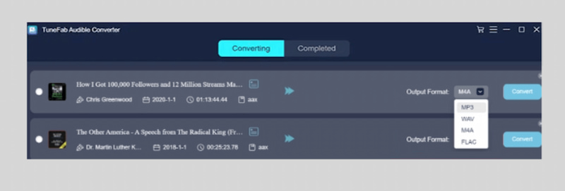 Tunefab Audible Converter