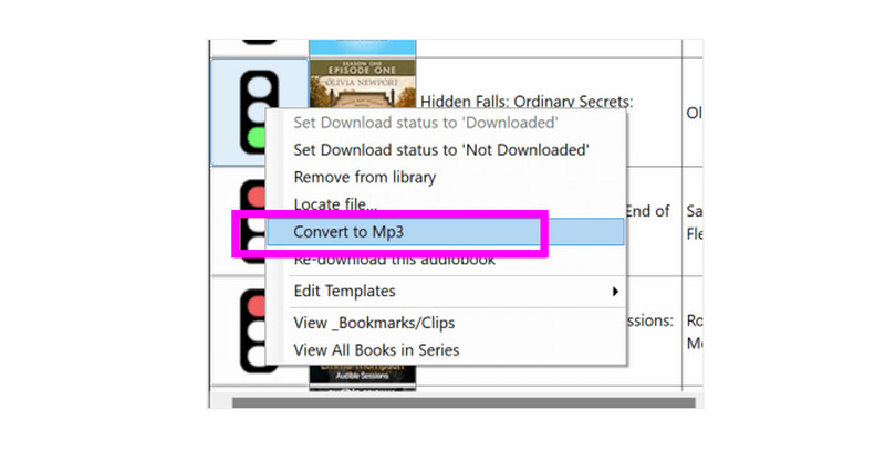 Convert Audible To MP3 Libation