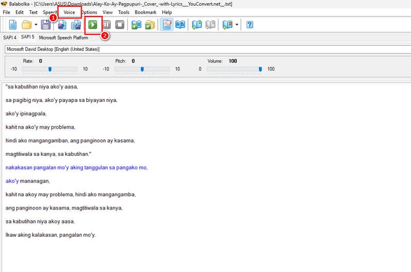 Voice Play Balabolka