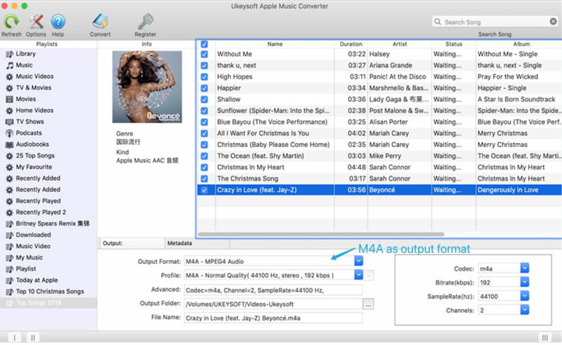 Apple Music Import Settings