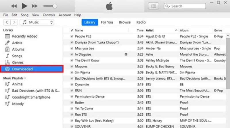 iTunes Downloaded Music
