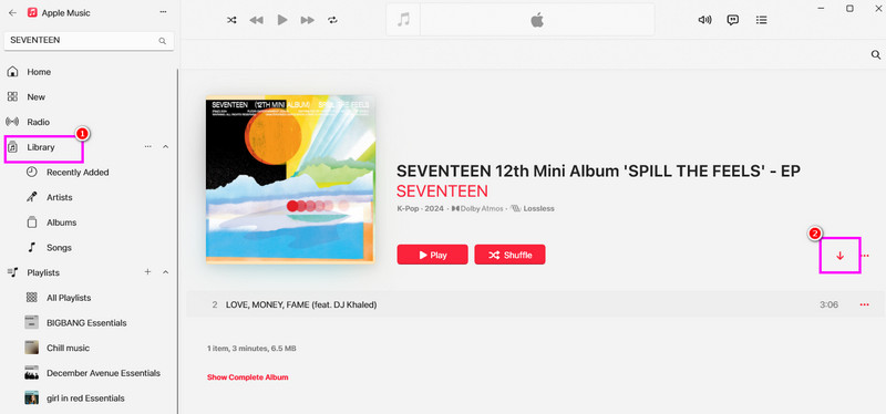 Library Download Symbol