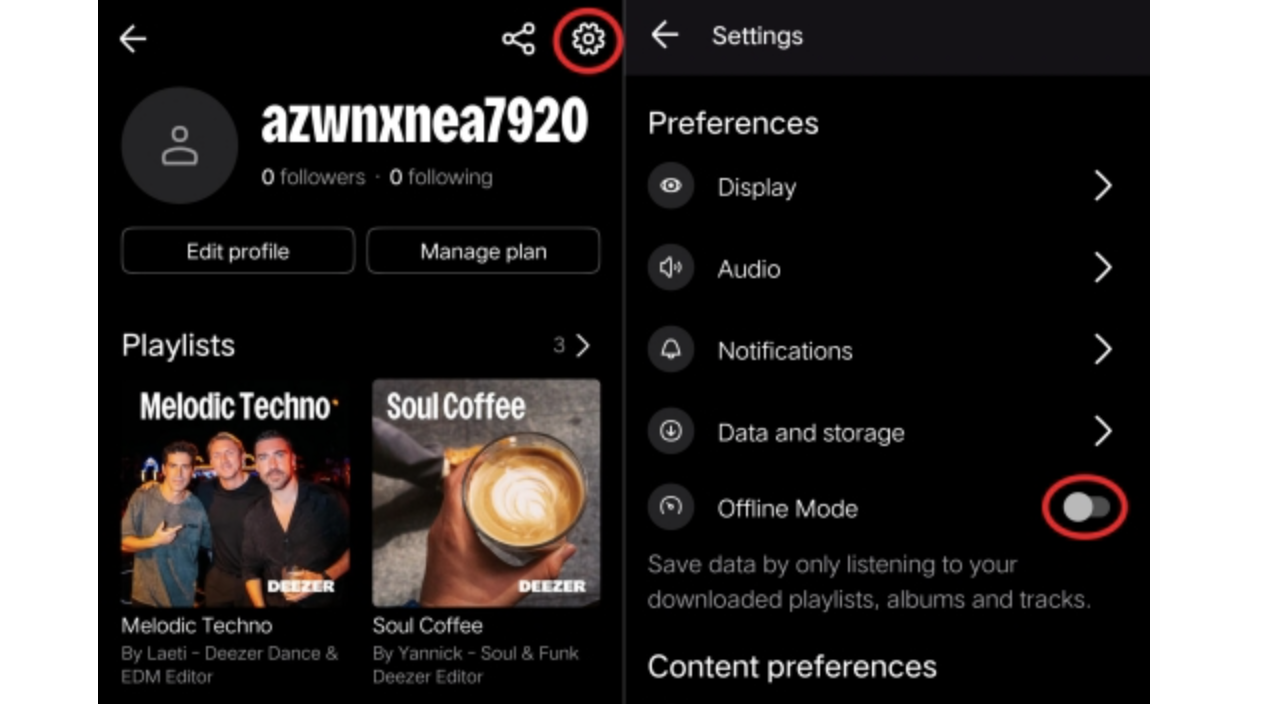 Deezer Download Button
