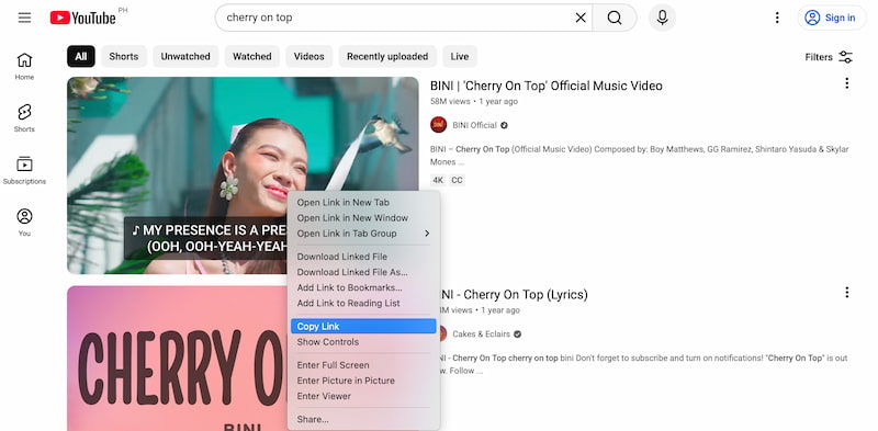 YouTube Copy Link