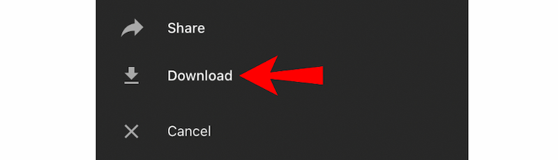 Youtube Music Download Button