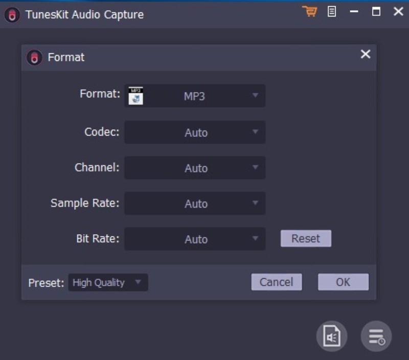 Audio Output Setting