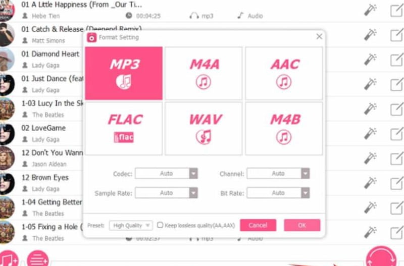 DRmare Format Setting