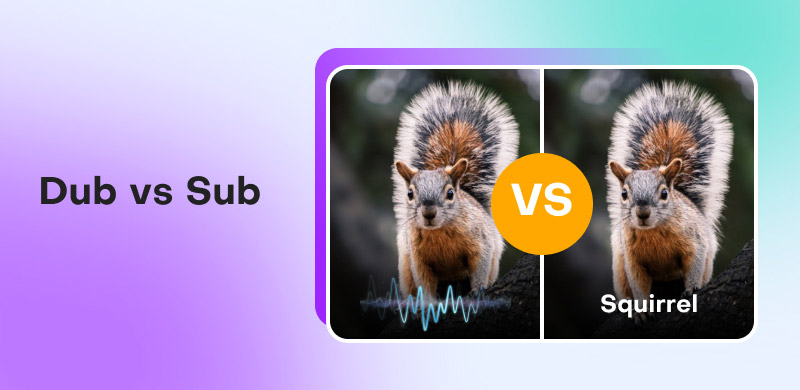 Dub vs Sub