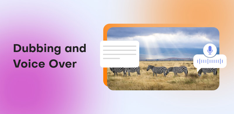 Dubbing and Voice Over