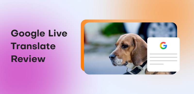 Google Live Translate Review