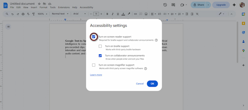 Enable Screen Reader Support