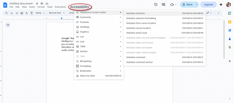 Use Text To Speech Options