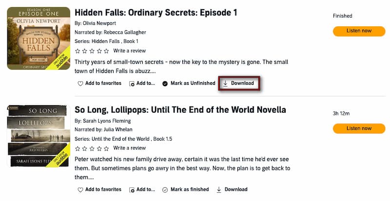Download Audiobook on Computer