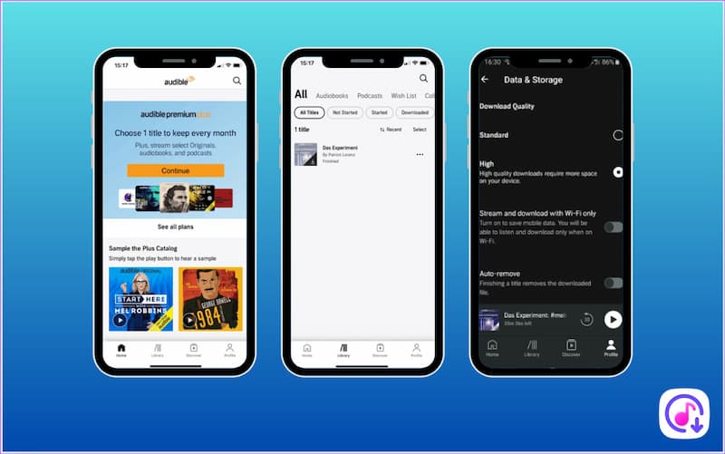 Download Audiobook on Mobile Phones