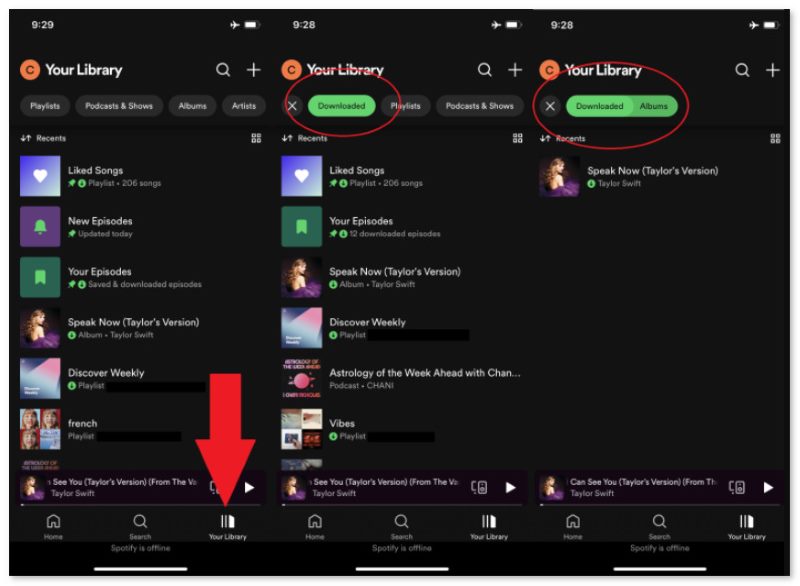 Listen Downloaded Music Offline