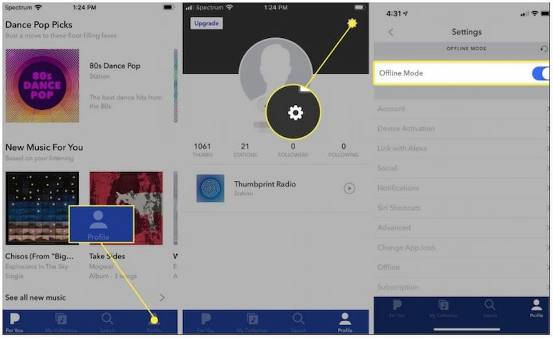 Download Pandora Station Using Plus