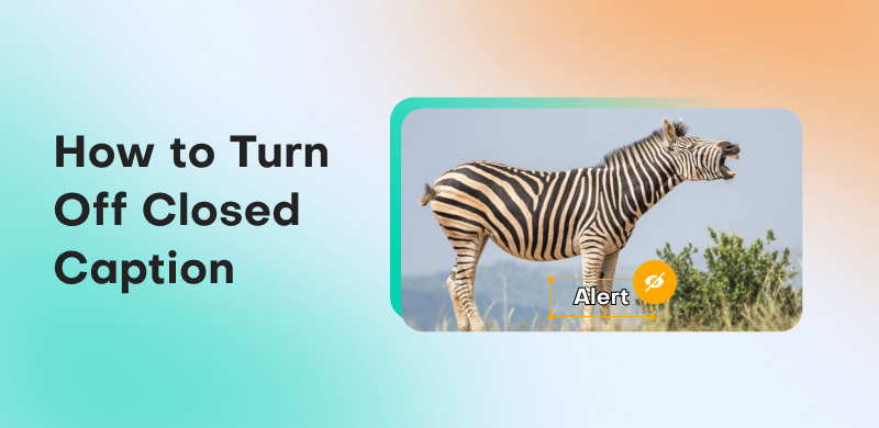 How to Turn off Closed Caption