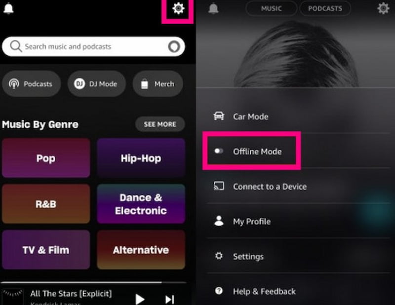 Listen Amazon Music Offline IOS Official