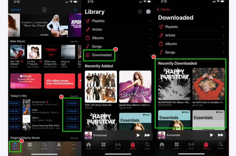 Listen Purchased Apple Music Offline Android IOS