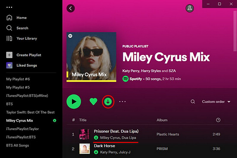 Desktop Download Spotify Songs