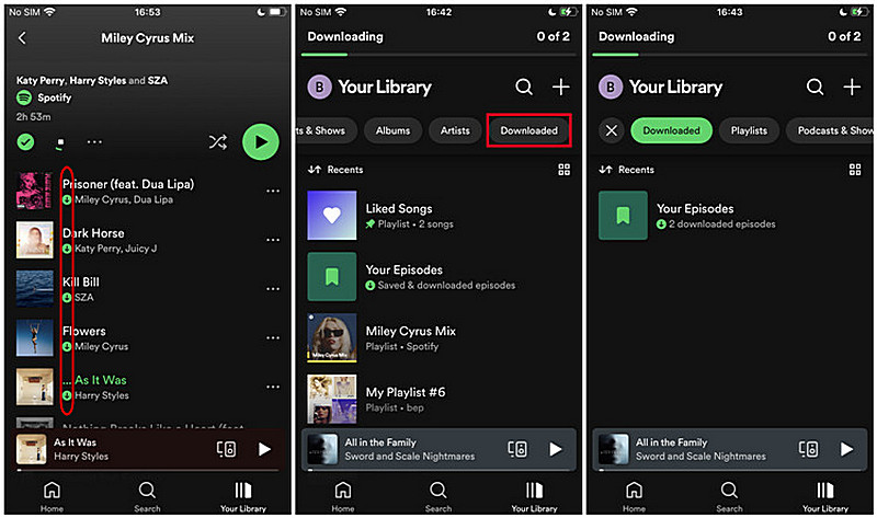 Mobile Downloaded Spotify Files