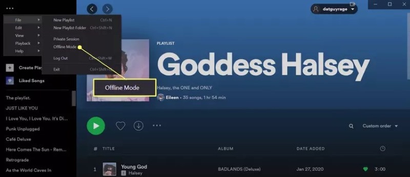 PC Spotify Offline Mode