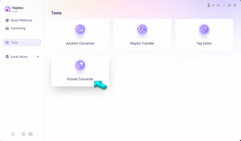 Access Format Converter In Topvox