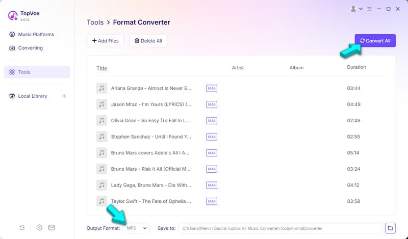Set Mp3 As Output And Convert In Topvox