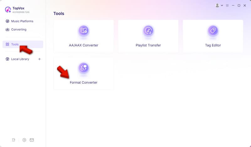 Access Format Converter In Topvox