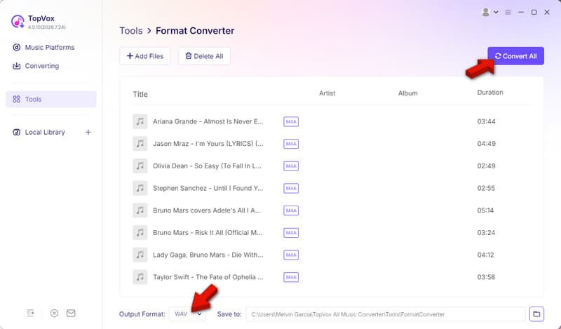 Set WAV As Output And Convert In Topvox