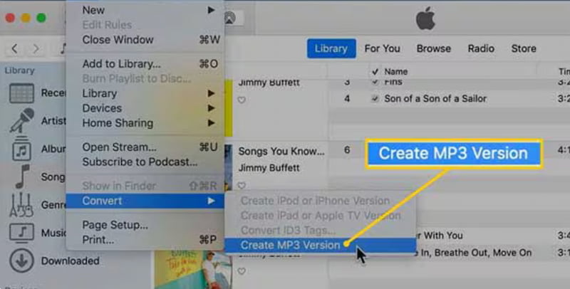 iTunes Create MP3 Settings