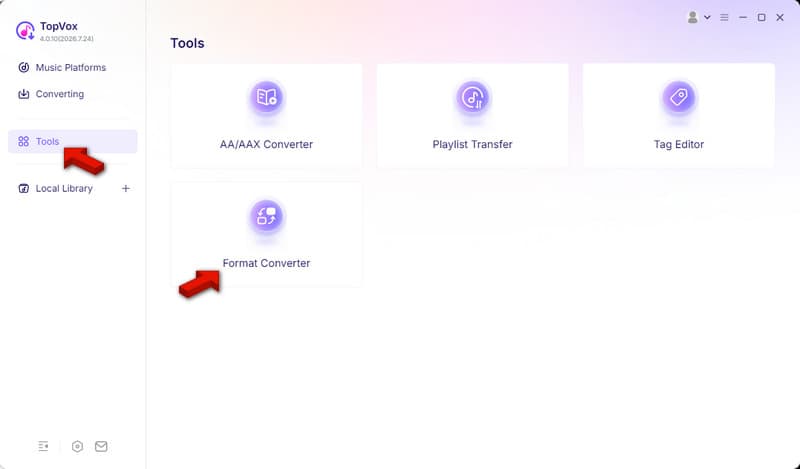 Access Format Converter In Topvox
