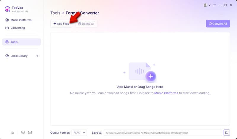 Import Mp3 Files For Conversion In Topvox