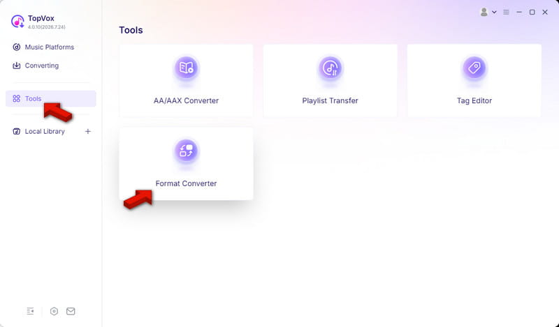 Access Format Converter In Topvox