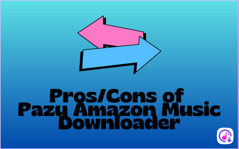 Pros And Cons of Pazu Music Downloader