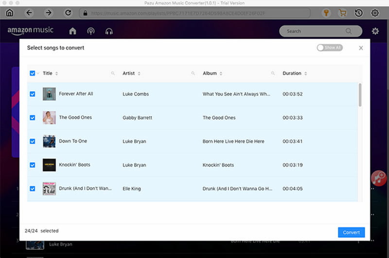 What Is Pazu Music Downloader