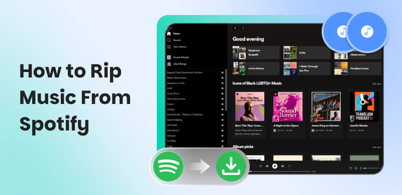 Rip Music from Spotify