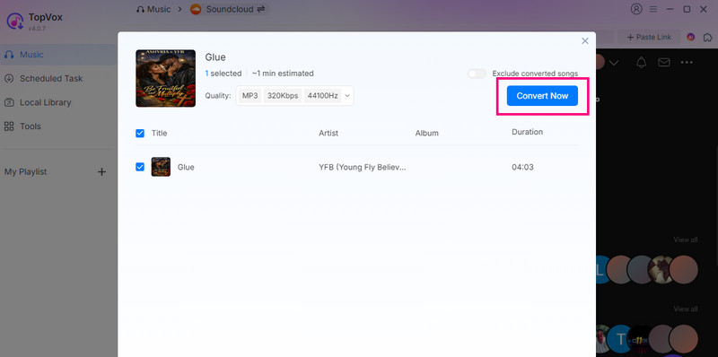 Convert Now Button TopVox