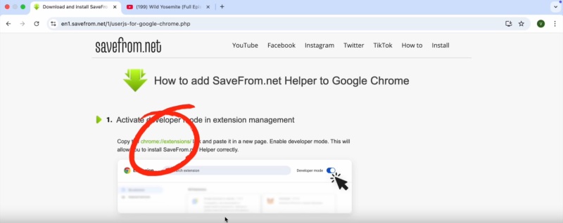 Savefromnet Add Extension