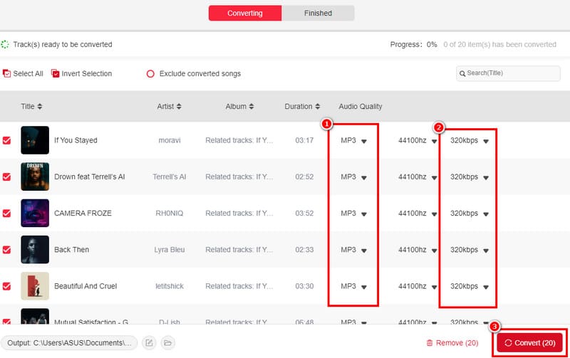 Select Format Quality Convert Topvox