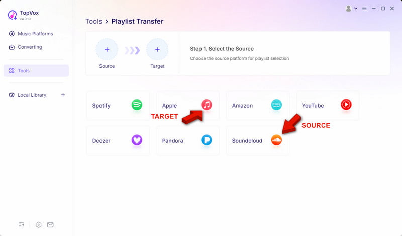 Set Source And Target Platforms In Topvox All Music Converter