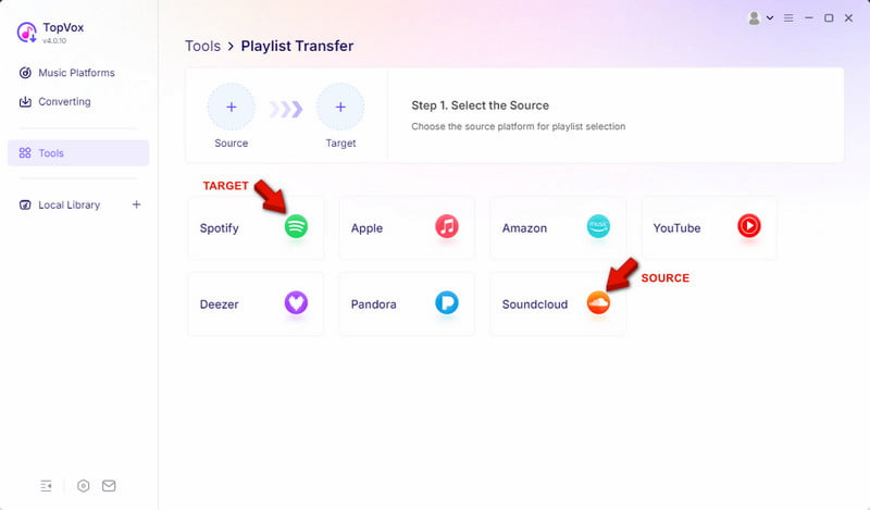 Set Source And Target Platforms In Topvox All Music Converter