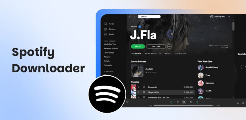 Spotify Downloader